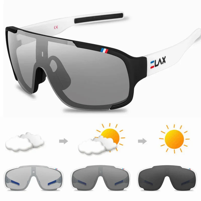 ELAX Polarized Photochromic Cycling Glasses