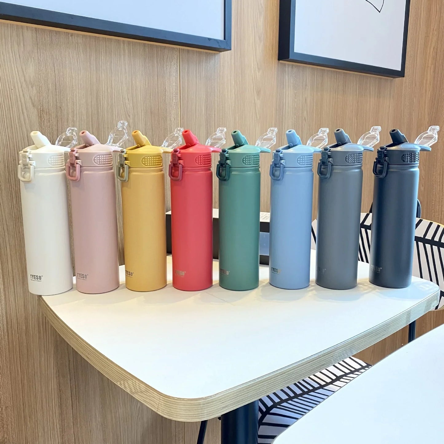 Tyeso Insulated Water Bottle with Straw ( Stainless Steel )