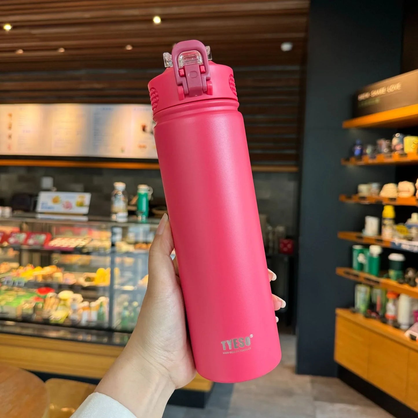 Tyeso Insulated Water Bottle with Straw ( Stainless Steel )