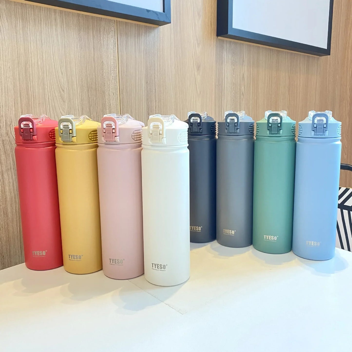 Tyeso Insulated Water Bottle with Straw ( Stainless Steel )